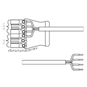 Leads and Connectors — P6B 4C 5M 1.5 WLC