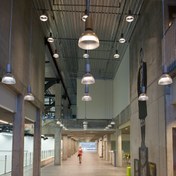 Surface and Suspended Luminaires